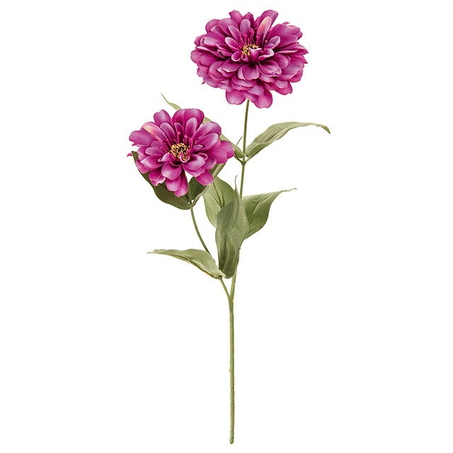  12 orchid elixer flowertools